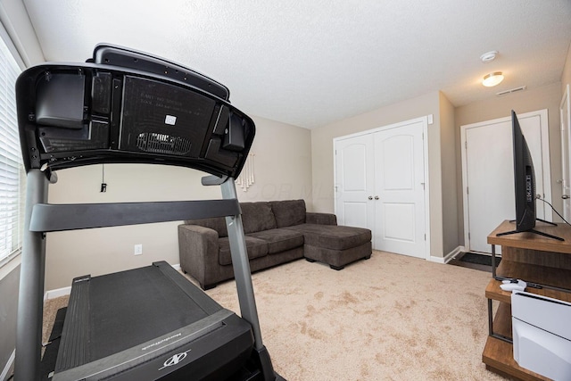 5738 Hayden Run Blvd, Dublin, OH 43016 - exercise area featuring carpet and baseboards