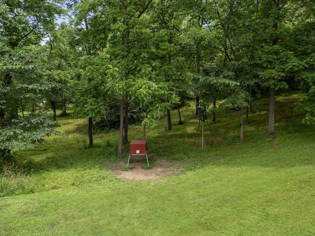 5900 Cottage Hill Rd, Nashport, OH 43830 - photo 36