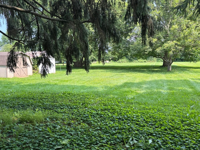298 N Vernon Ave, Newark, OH 43055 - view of grassy yard featuring an outdoor structure