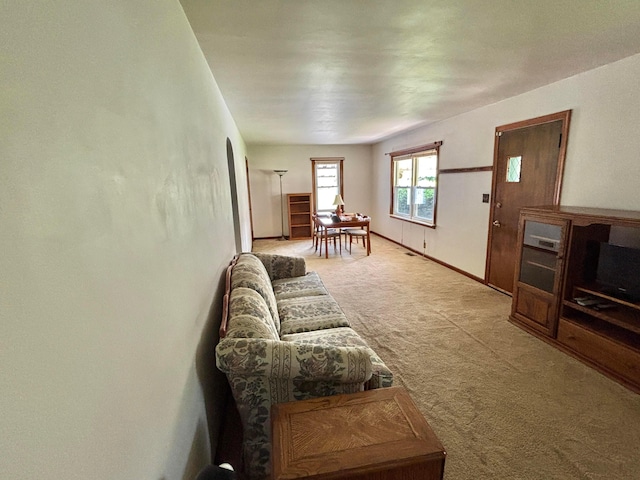 298 N Vernon Ave, Newark, OH 43055 - living room with carpet floors and baseboards