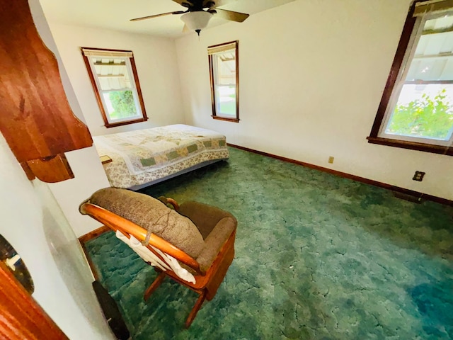 298 N Vernon Ave, Newark, OH 43055 - carpeted bedroom with multiple windows and ceiling fan