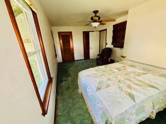 298 N Vernon Ave, Newark, OH 43055 - bedroom with carpet, two closets, and a ceiling fan