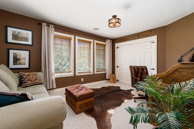 3873 Carters Corner Rd, Sunbury, OH 43074 - living area featuring carpet floors and baseboards