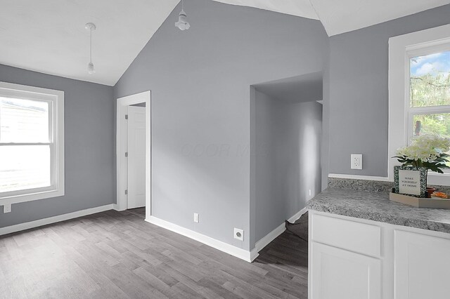 540 Park St, Marion, OH 43302 - empty room featuring vaulted ceiling and wood finished floors