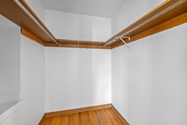 1295 Castleton Rd N, Columbus, OH 43220 - spacious closet with light wood-type flooring
