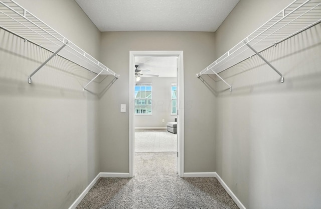 1582 Lewes Castle Dr, Grove City, OH 43123 - photo 40