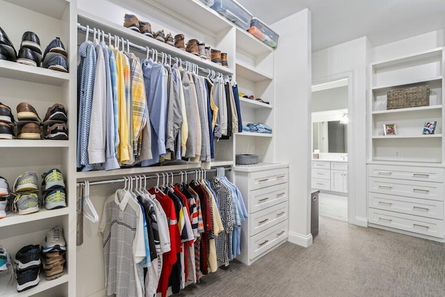 1372 Dogwood Loop, Powell, OH 43065 - walk in closet featuring light colored carpet