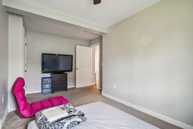 137 Wisconsin Ave, Columbus, OH 43222 - bedroom with carpet and a ceiling fan