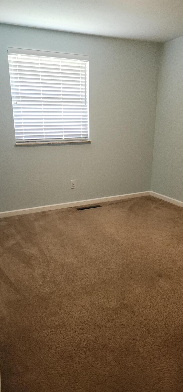 3691 Abney Rd, Columbus, OH 43207 - photo 9