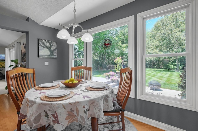 15 Doe St, Plain City, OH 43064 - dining space featuring light wood-type flooring, a chandelier, and a textured ceiling
