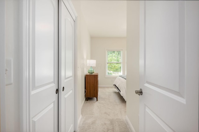 174 Grand Ridge Ct, Gahanna, OH 43230 - hallway with light carpet and baseboards