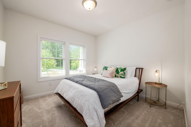 174 Grand Ridge Ct, Gahanna, OH 43230 - bedroom featuring carpet flooring