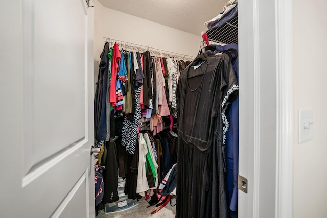 174 Grand Ridge Ct, Gahanna, OH 43230 - walk in closet featuring carpet floors
