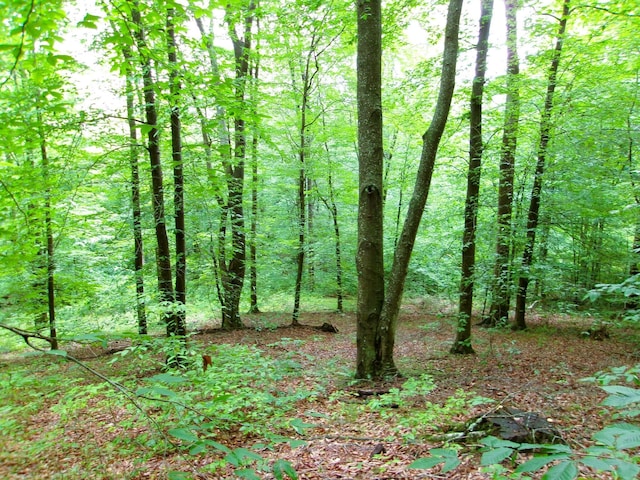 10030 Tucker Rd, New Straitsville, OH 43766