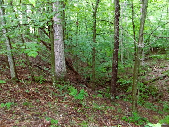 10030 Tucker Rd, New Straitsville, OH 43766