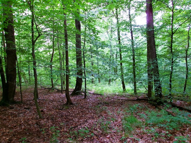 10030 Tucker Rd, New Straitsville, OH 43766