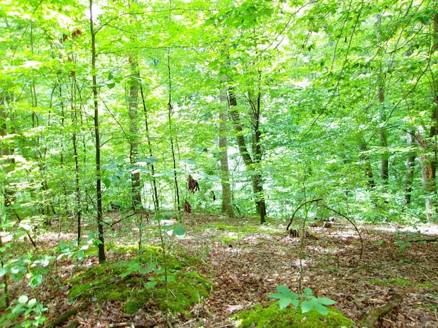 10030 Tucker Rd, New Straitsville, OH 43766