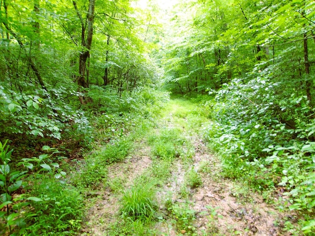10030 Tucker Rd, New Straitsville, OH 43766