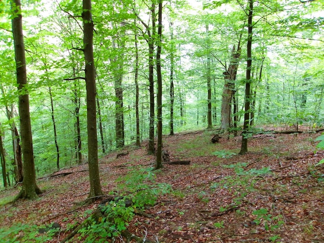 10030 Tucker Rd, New Straitsville, OH 43766