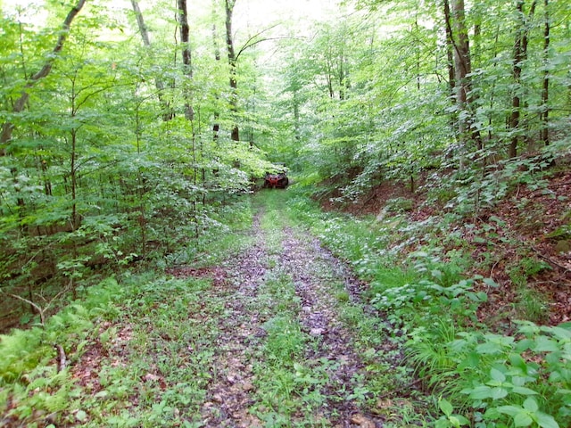 10030 Tucker Rd, New Straitsville, OH 43766