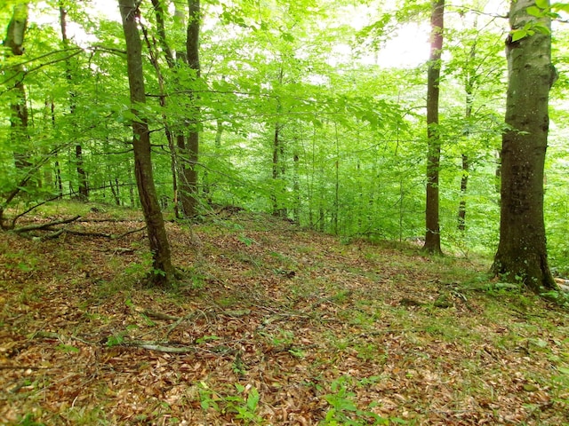 10030 Tucker Rd, New Straitsville, OH 43766