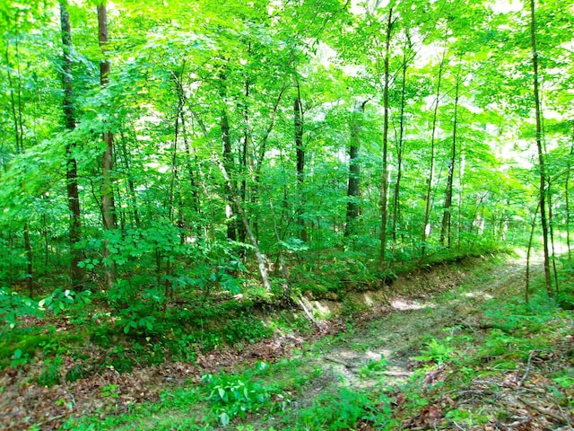 10030 Tucker Rd, New Straitsville, OH 43766