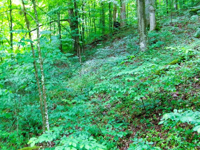 10030 Tucker Rd, New Straitsville, OH 43766