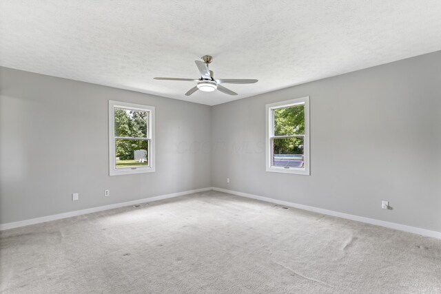 1550 Hiner Rd, Orient, OH 43146 - empty room featuring plenty of natural light, a ceiling fan, carpet, and a textured ceiling