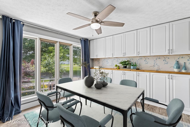 1550 Hiner Rd, Orient, OH 43146 - dining room with healthy amount of natural light, light wood-style floors, a textured ceiling, and ceiling fan