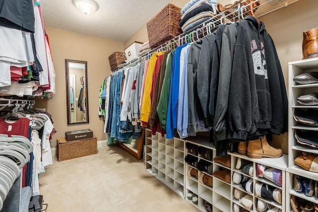 993 Starlight Ln, Westerville, OH 43082 - walk in closet with carpet flooring