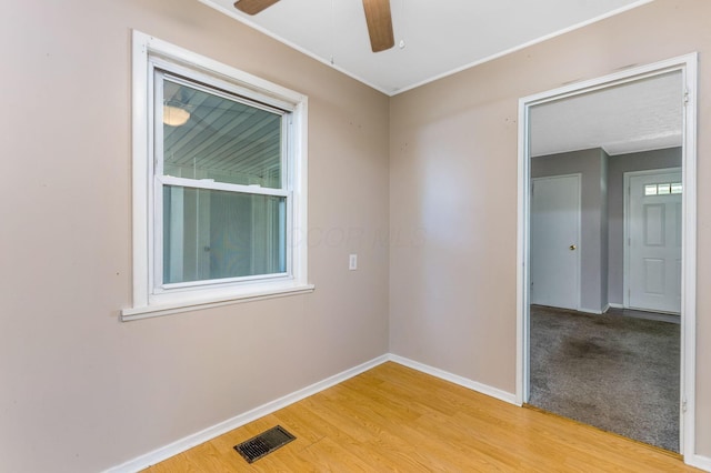 985 Bucknell Rd, Columbus, OH 43213 - photo 11