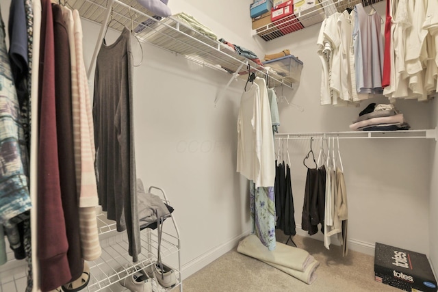 786 Stone Ridge Way, Newark, OH 43055 - spacious closet with carpet flooring