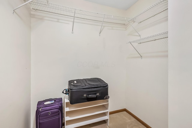 861 Summerville Dr, Delaware, OH 43015 - walk in closet featuring carpet