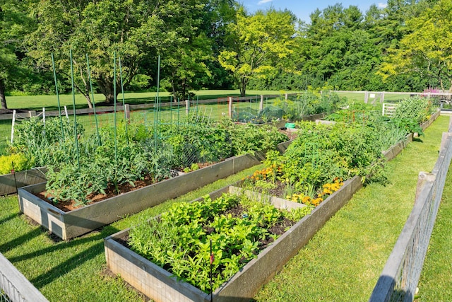 1814 Bennigan Dr Unit 88B, Hilliard, OH 43026 - view of grassy yard featuring a vegetable garden