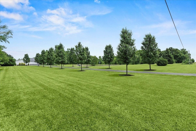 18500 Pine Ln, Marysville, OH 43040 - photo 44
