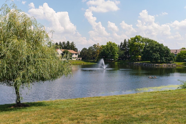 7602 Stone Lake Dr, Dublin, OH 43016 - photo 4