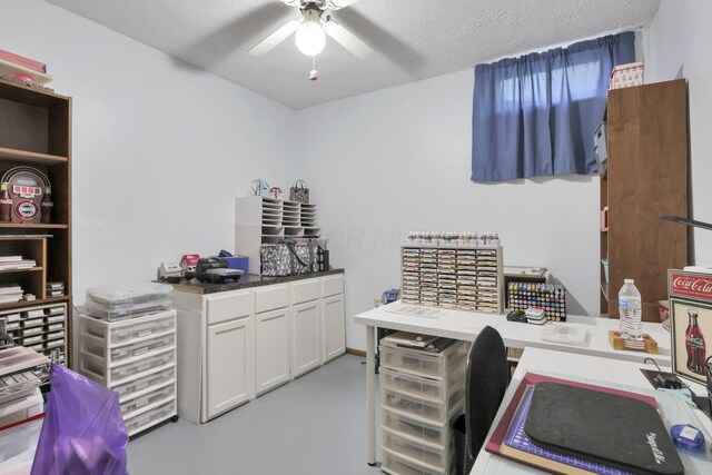 7870 Jersey Mill Rd, Alexandria, OH 43001 - photo 38