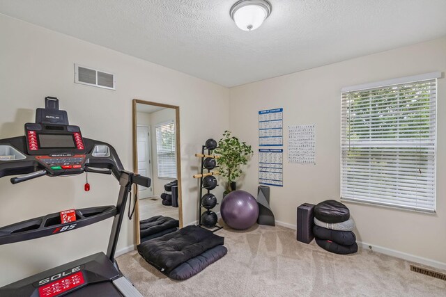 142 Blakemore Dr, Delaware, OH 43015 - workout room featuring carpet flooring, plenty of natural light, and a textured ceiling