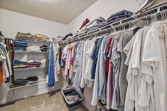 142 Blakemore Dr, Delaware, OH 43015 - walk in closet featuring carpet floors