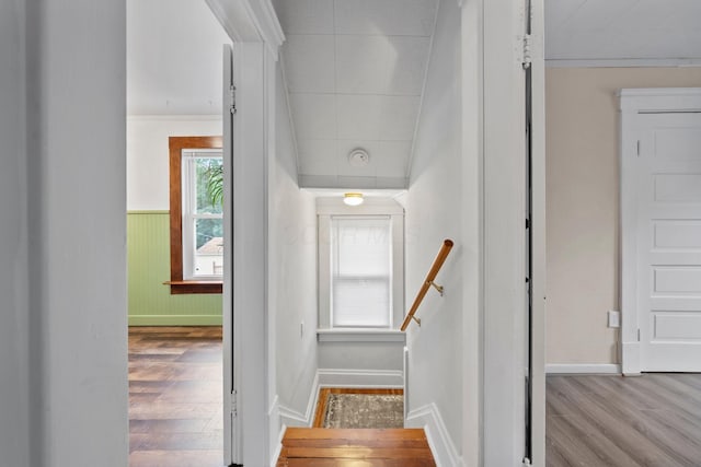 116 W Longview Ave, Columbus, OH 43202 - staircase featuring wood finished floors and a wainscoted wall