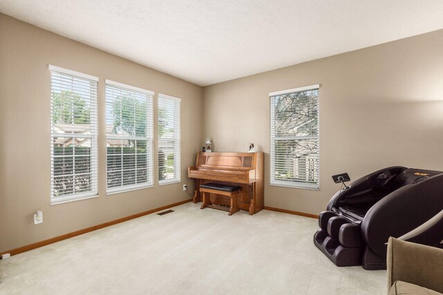 5899 Cove Point Ct, Columbus, OH 43228 - living area featuring plenty of natural light and light colored carpet