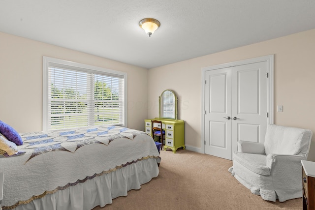 3582 Panhandle Rd, Delaware, OH 43015 - bedroom with carpet and a closet