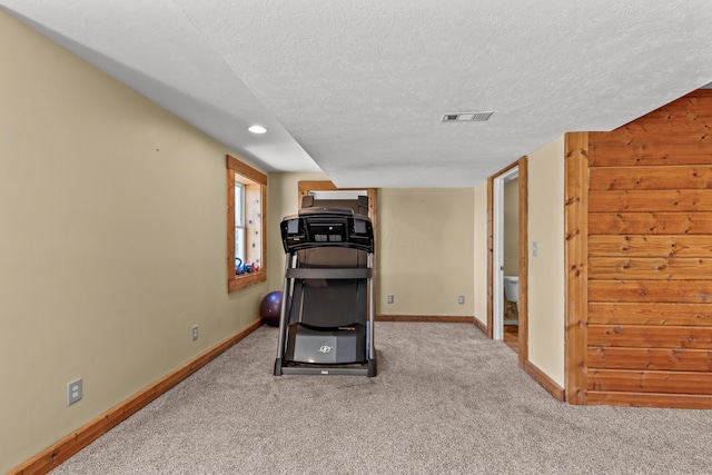 3582 Panhandle Rd, Delaware, OH 43015 - workout area featuring a textured ceiling, carpet flooring, and recessed lighting