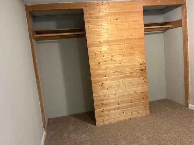 8565 Smith Calhoun Rd Unit 163, Plain City, OH 43064 - view of closet