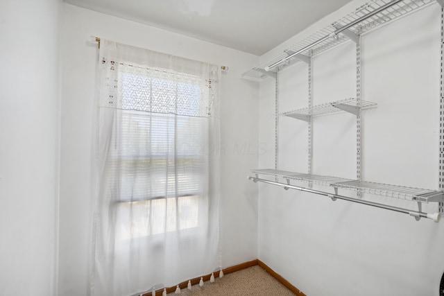 1118 Barlowe Run Dr, Blacklick, OH 43004 - walk in closet with light colored carpet