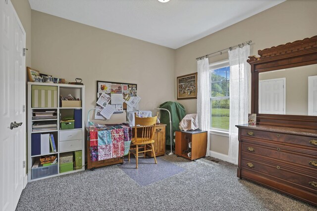 9660 Old Rainer Rd, Roseville, OH 43777 - photo 53