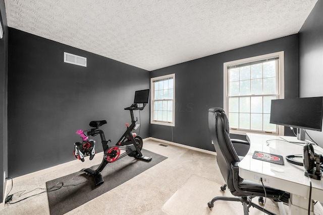 1169 Riva Ridge Blvd, Columbus, OH 43230 - carpeted office featuring a textured ceiling