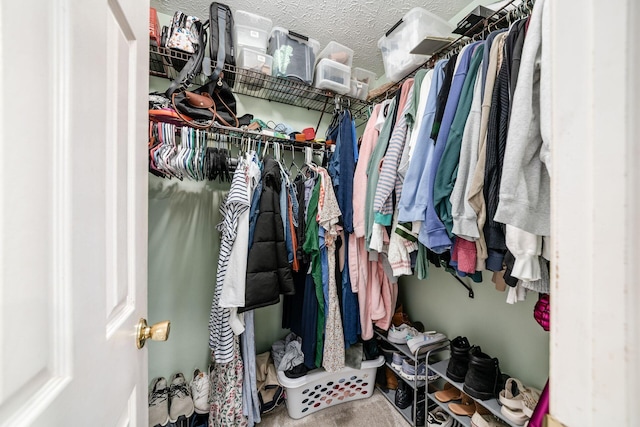 1169 Riva Ridge Blvd, Columbus, OH 43230 - view of spacious closet