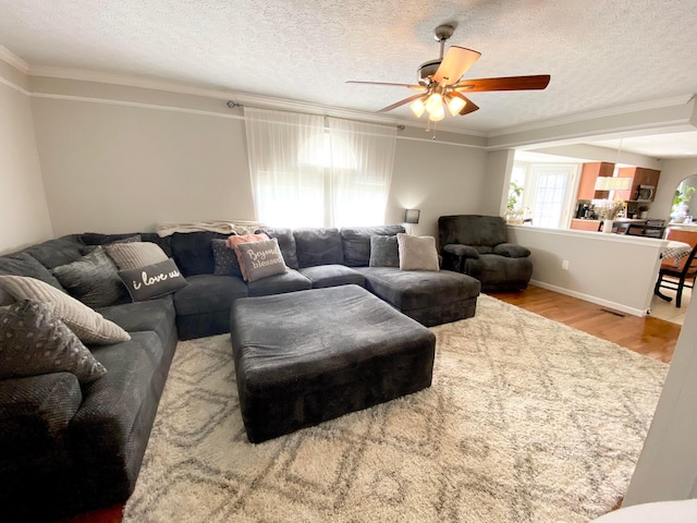19 Ravine View Ct, Pataskala, OH 43062 - living area featuring ceiling fan, crown molding, wood finished floors, and a textured ceiling