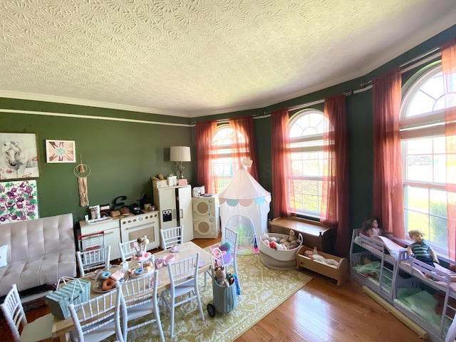 19 Ravine View Ct, Pataskala, OH 43062 - living area featuring wood finished floors, a textured ceiling, and crown molding